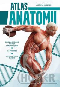 Atlas anatomii