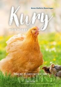 Kury moje hobby Poradnik początkującego hodowcy