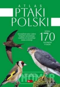 Atlas ptaków Polski