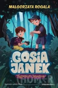 Gosia i Janek. Tajemnicze kamienie