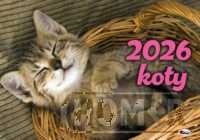 Kalendarz 2026 Koty
