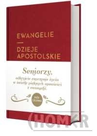 Ewangelie i Dzieje Apostolskie z infografikami (dla seniorów)