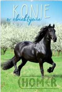 Kalendarz 2026 Konie w obiektywie RW14
