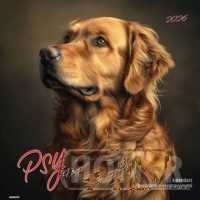 Kalendarz 2026 albumowy duży Psy z poradami KAD-10