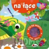 Kto się ukrył na łące z klapkami sensoryczna