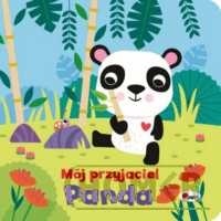 Mój przyjaciel Panda z maskotką