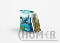 Piotruś Brainrot Bombardiro Crocodillo