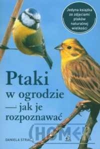 Ptaki w ogrodzie — jak je rozpoznawać